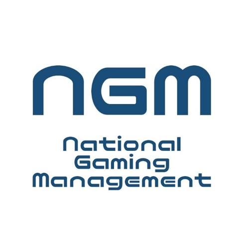 eモータースポーツ/JEGT運営会社㈱MGMの経理